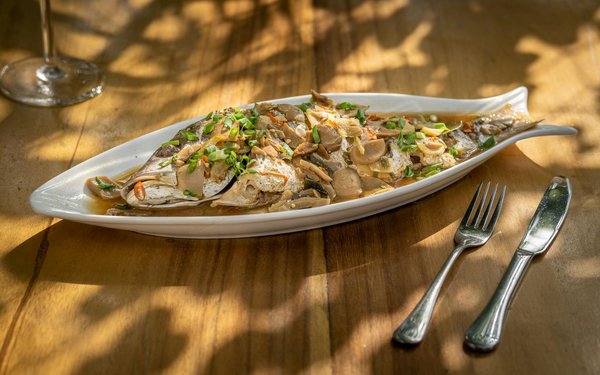 How Has the Evolution of UK Sports Influenced Its Global Recognition?